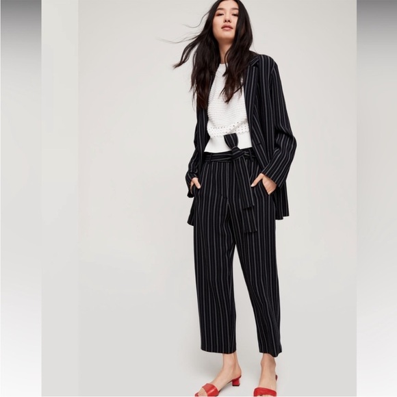Aritzia Wilfred Cherrelle Pinstripe Oversized Blazer - Picture 4 of 16